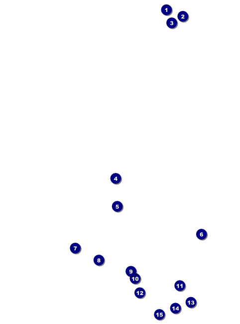 Chinese New Year Tiger Flyer Front Field Markers