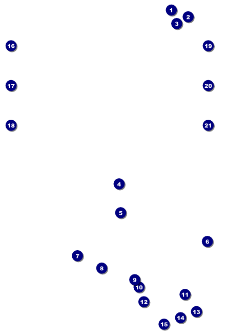 Chinese New Year Tiger Image Flyer Front Field Markers