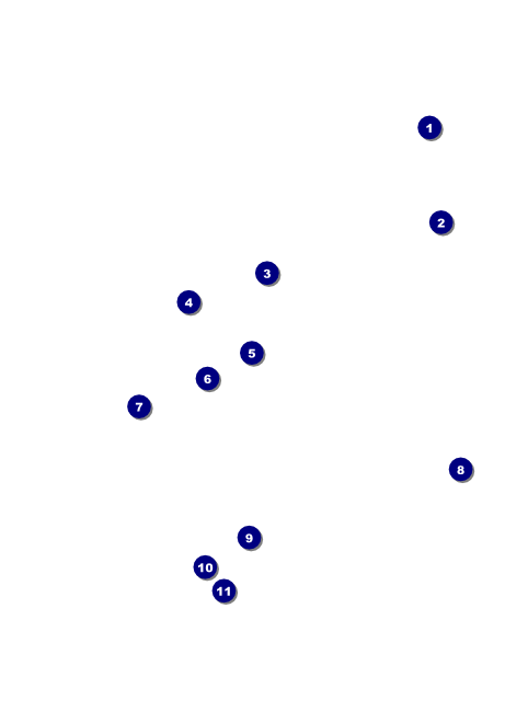 Glittering Celebration Flyer Front Field Markers