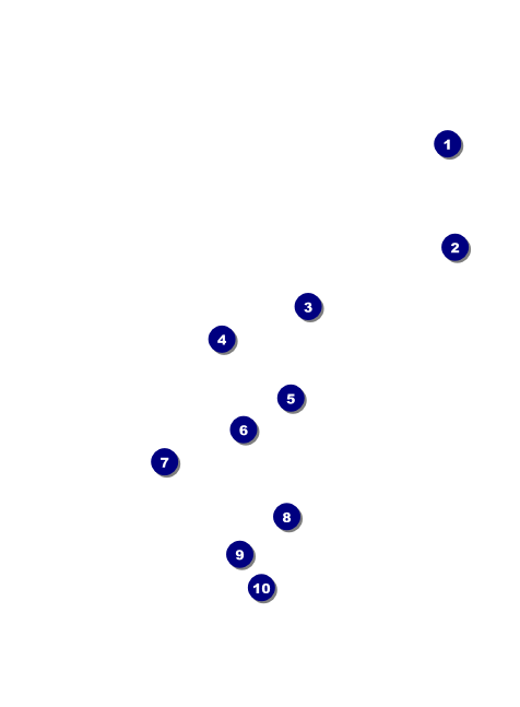 Glittering Celebration Invitation Front Field Markers