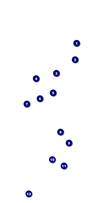 Glittering Celebration VIP Pass Front Field Markers