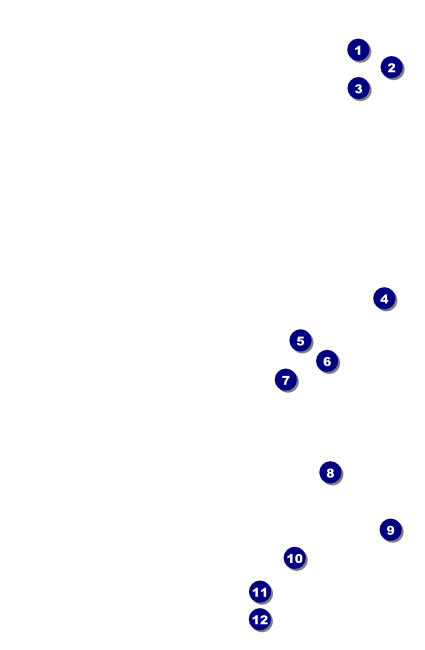 Chinese New Year Drink Ticket Front Field Markers