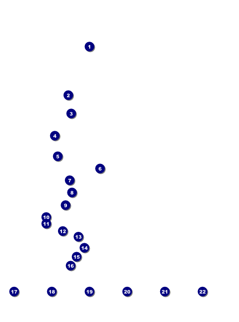 Year Gold Semi-Formal Logo Flyer Front Field Markers