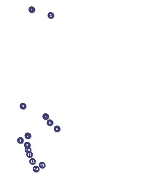 Skating Party Flyer Front Field Markers