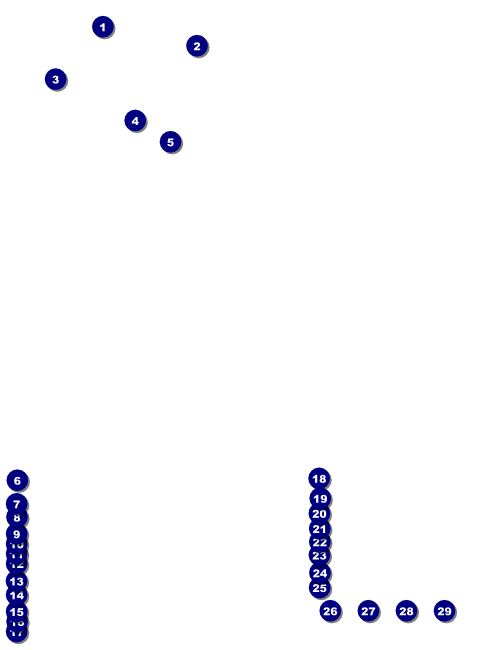 Ski Race Flyer Front Field Markers