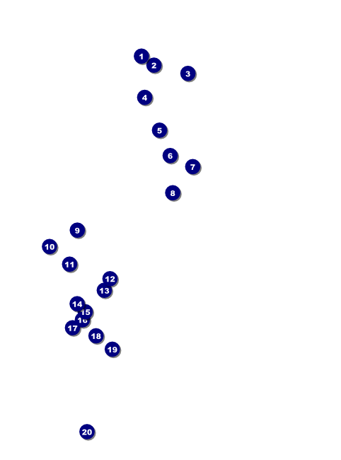 Day of the Dead Flyer Front Field Markers