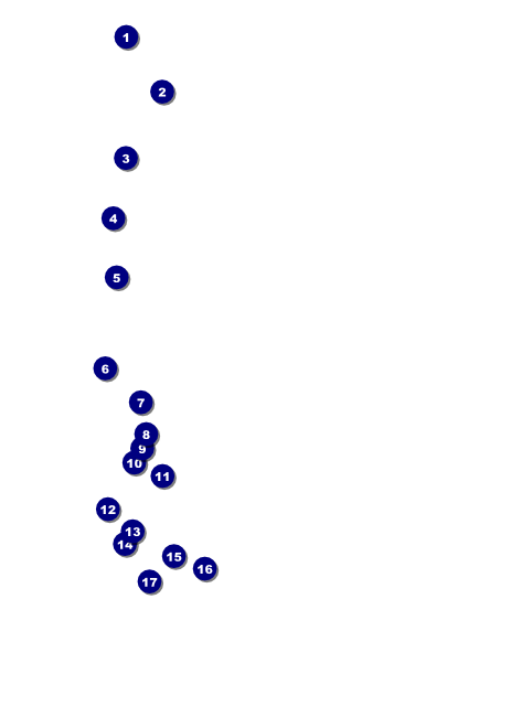 Acoustic Strings Flyer Front Field Markers