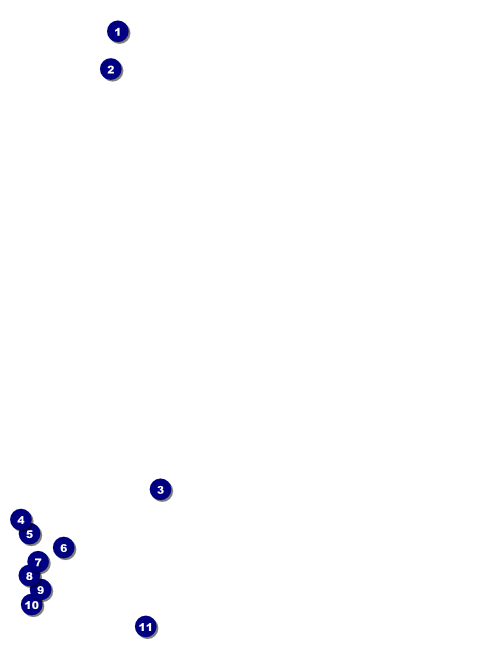 Night Club Neon Flyer Front Field Markers