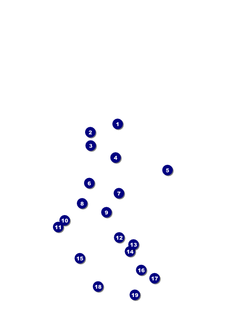 Casino Night Flyer Front Field Markers