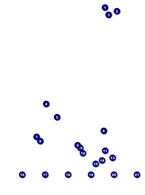 Chinese New Year 2014 Flyer with image uploads Front Field Markers