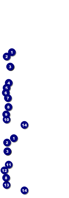 Golden Ornament Event Ticket Front Field Markers