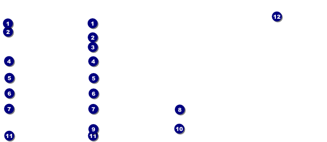 Sapling Gift Certificate Front Field Markers