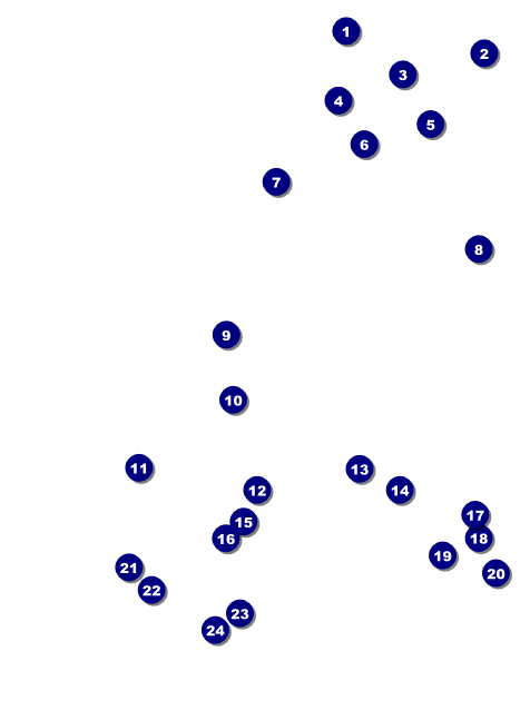 Stylish Rose Invitation Front Field Markers