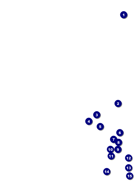 Bon Odori Invitation Front Field Markers