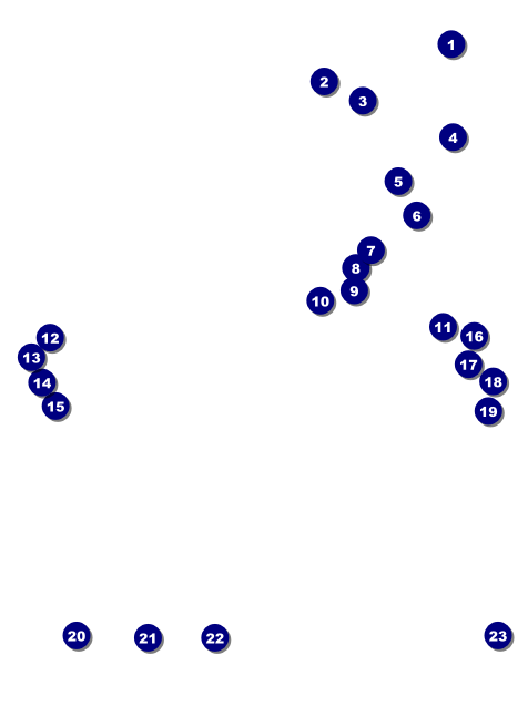 Paper Christmas Tree Red Invitation Front Field Markers