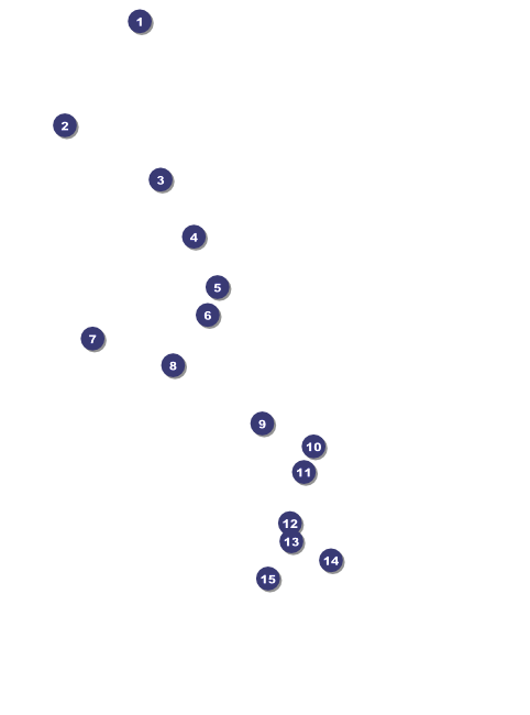 Valentine's Day Flyer 002 Front Field Markers