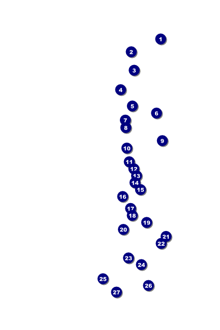 Cheerleading Spirit Poster Front Field Markers