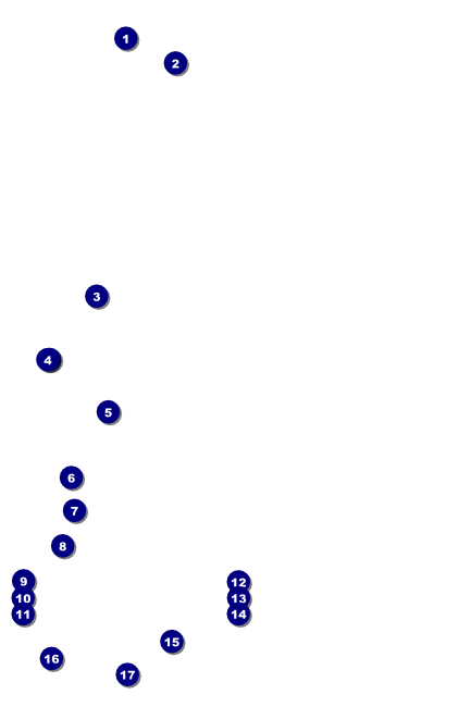 Bowling League Poster Front Field Markers