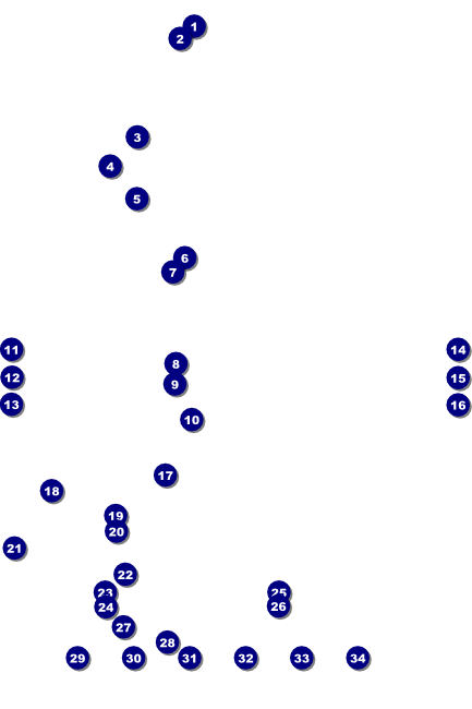 American Football Lights Poster Front Field Markers