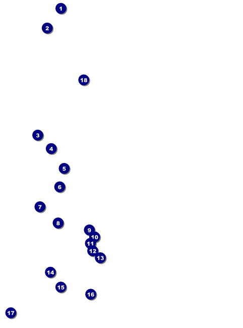 Sports Flyer 001 in Black and Yellow Front Field Markers