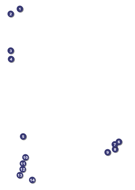 Prism Tree Postcard Front Field Markers
