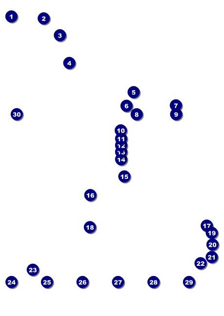 Class Reunion Mascot Orange Postcard Front Field Markers