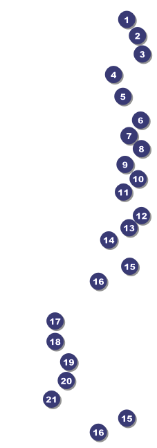 Nature Series - Blue Ocean Raffle Ticket Front Field Markers