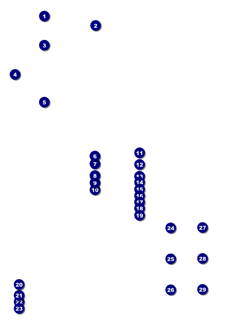 Gymnastics Flyer Front Field Markers