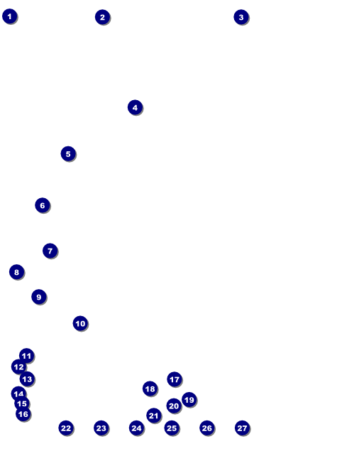 All Purpose Lights Logo Flyer Front Field Markers