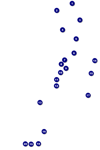 Red and Silver Poster Front Field Markers