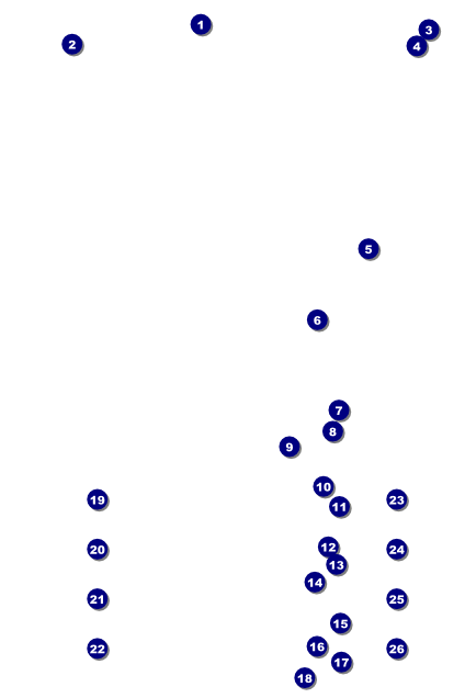Mexican Hat Logo Poster Front Field Markers