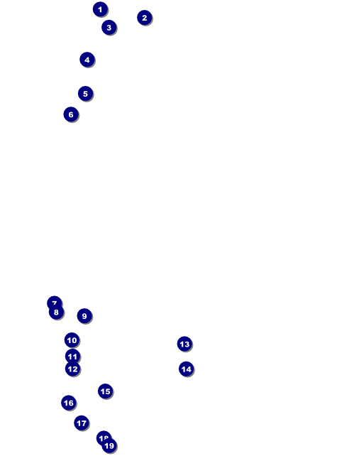 Military Flyer Front Field Markers