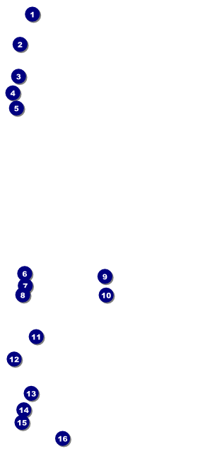 Military VIP Pass Front Field Markers
