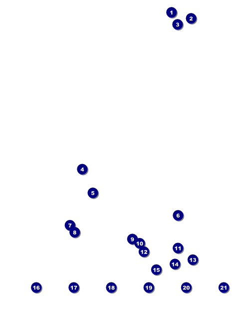 Chinese New Year Monkey Logo Flyer Front Field Markers