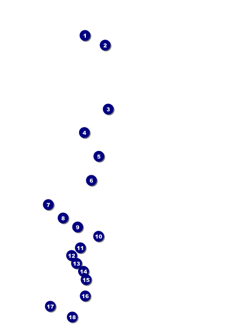 All Purpose Skyline Black and White Flyer Front Field Markers