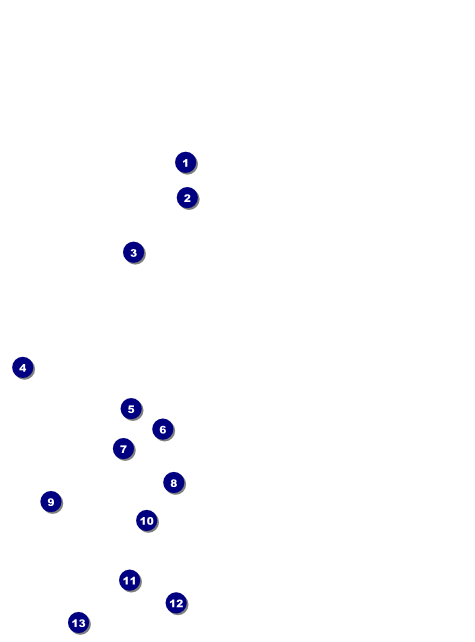 Fall Leaves Flyer Front Field Markers