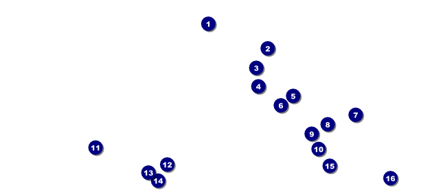 Australia Day VIP Pass Front Field Markers