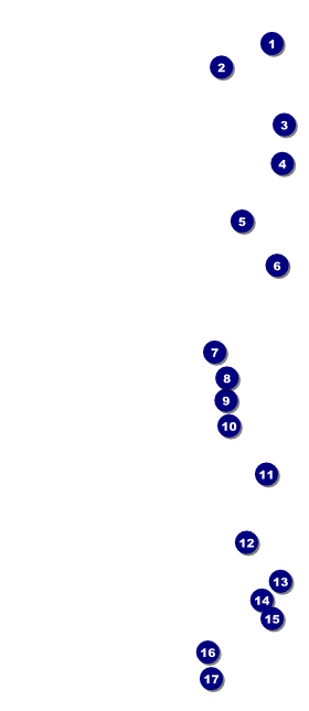 Australian Rules Football VIP Pass Front Field Markers