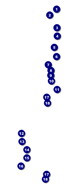 Australian Rules Football Raffle Ticket Front Field Markers