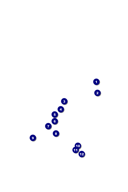 Lawn Bowling Poster Front Field Markers