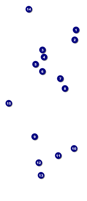 London VIP Pass Front Field Markers