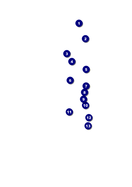 Sydney Postcard Front Field Markers