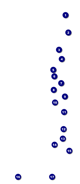 Sydney VIP Pass Front Field Markers