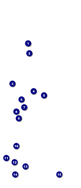 Australia Day VIP Pass Front Field Markers