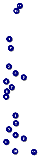 Australia Day Event Ticket Front Field Markers