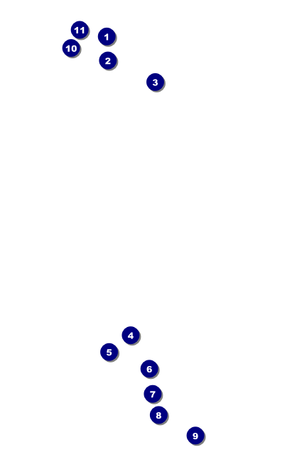 Net Ball Drink Ticket Front Field Markers