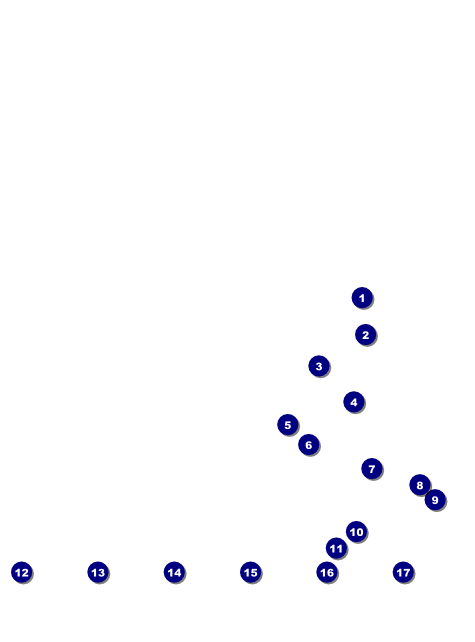 Net Ball Image Flyer Front Field Markers