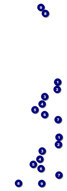 Net Ball Event Ticket Front Field Markers