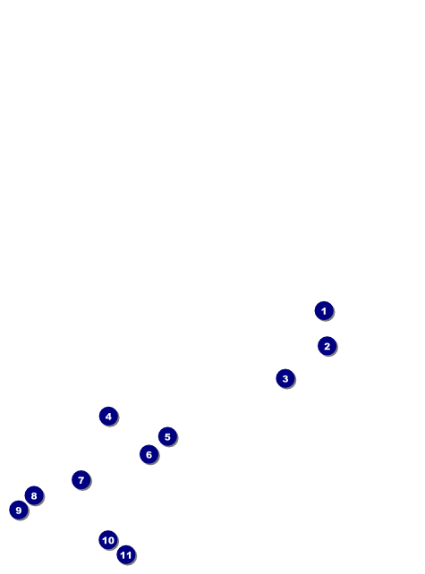 Net Ball Flyer Front Field Markers