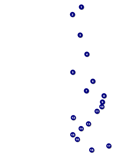 Cricket Tournament Flyer Front Field Markers